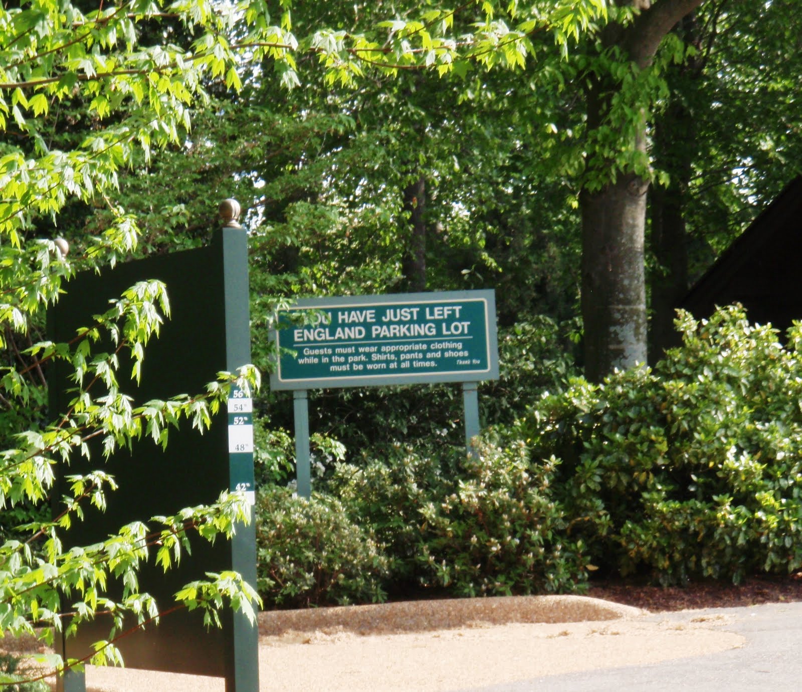 The Chronicles of Cardigan The Dogs Go to Busch Gardens (Again) An