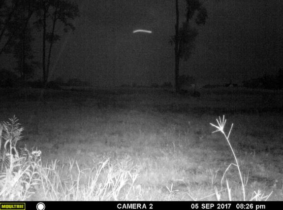 Please enable JavaScript