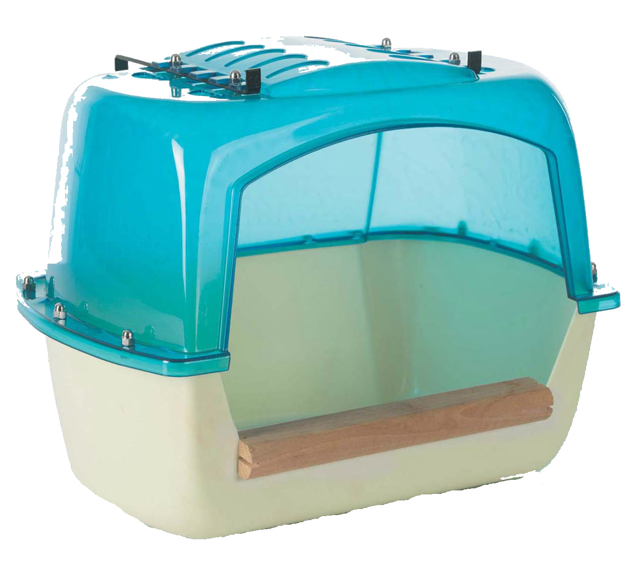 Bird In Everything 2016