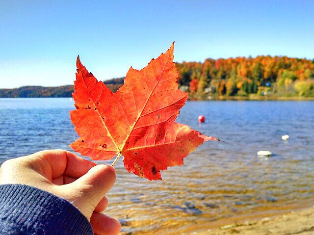 Perfect Fall Weekend: Kingston Edition