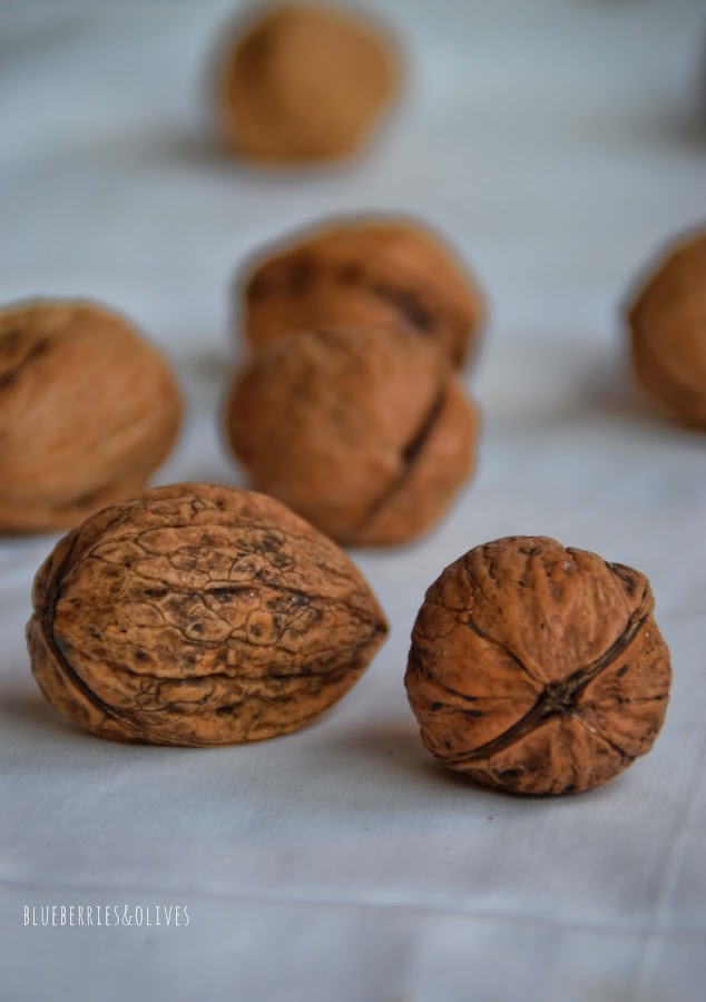 NUECES