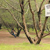Lokasi Wisata Camping Ground Unik di Area Bantul