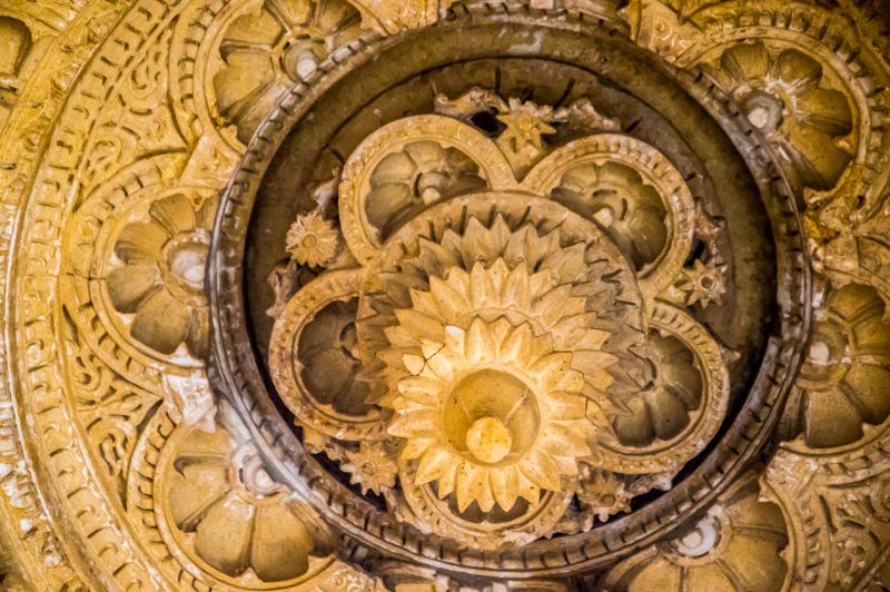 inverted lotus inverted lotus