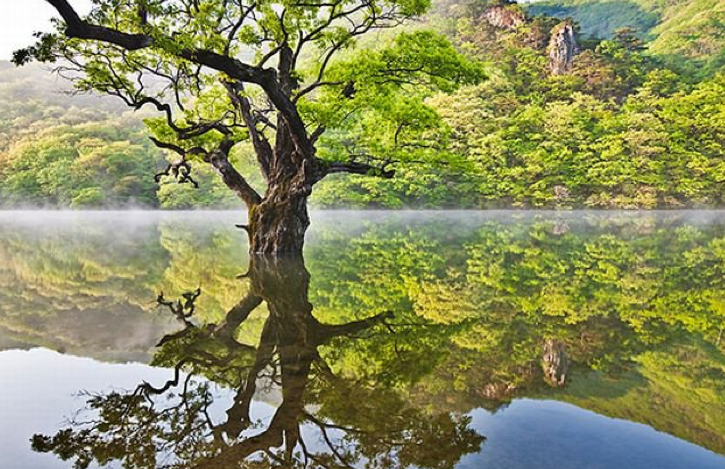 олимпиадные задания по природоведению для 5 класса