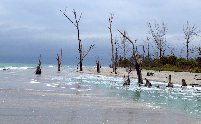 If you are seeking creative ideas, go out walking. Angels whisper to a ...