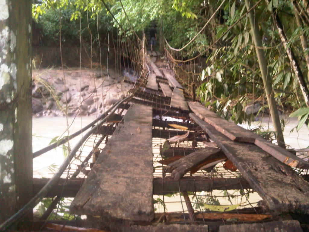 Malaysians Must Know the TRUTH MONKEY BRIDGE BY MONKEY PROMISE