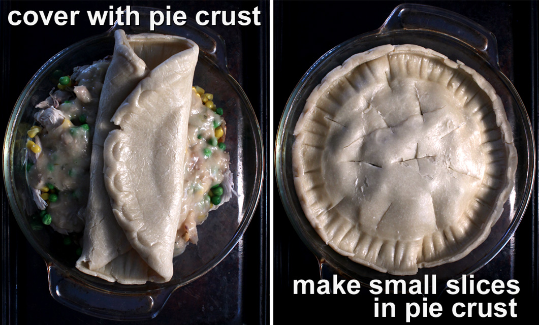 The 99 Cent Chef 2015 the-99-cent-chef-2015