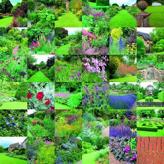 Buch, Kultur und Lifestyle- Gartenbücher und Gartenzubehör: Rezension