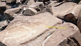 Earliest Carving of Lajja Gauri 