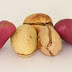 Six Amazing Health Benefits Of Kola Nut
