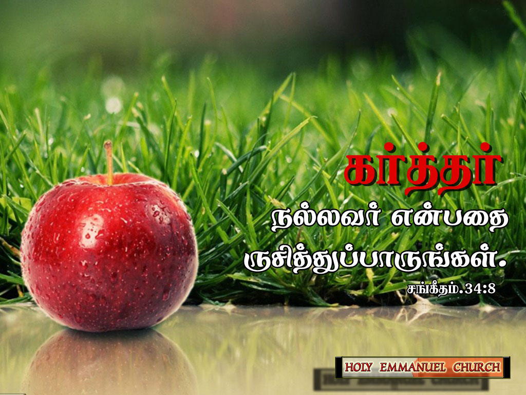 Holy Emmanuel CSI Church: Tamil Bible words 5-10