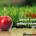 Bible Words In Tamil Images : Pin on Tamil Bible Verse Wallpapers