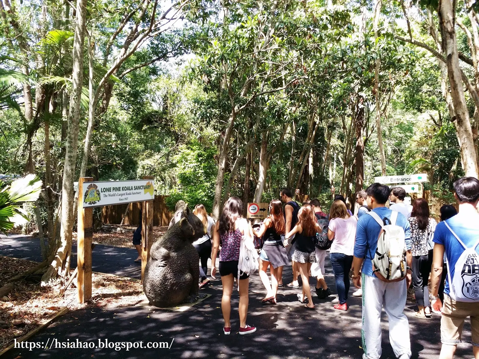 布里斯本-龍柏動物園-門票-龍柏動物園活動-無尾熊-袋鼠-行程-龍柏動物園遊記-Lone-Pine-Koala-Sanctuary-Brisbane