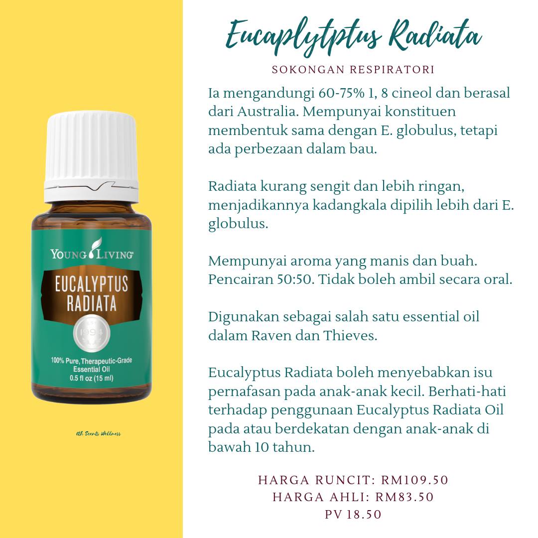 Kebaikan Eucalyptus Radiata Young Living Cara Menggunakan Tiga Jenis