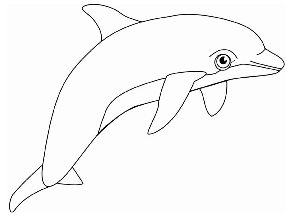 Dolphins Coloring Pages Realistic | Realistic Coloring Pages