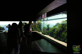 リスボン水族館