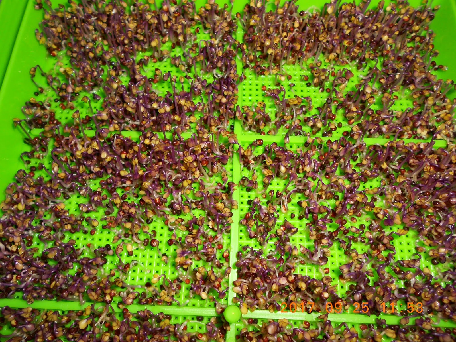 �����R,�����R��,���Ⱚ�R��,������ŵ�,�����R��i,�����R����i,�����ŵ��ܦ�,�����ŵ浵���ߵ�,�����R��