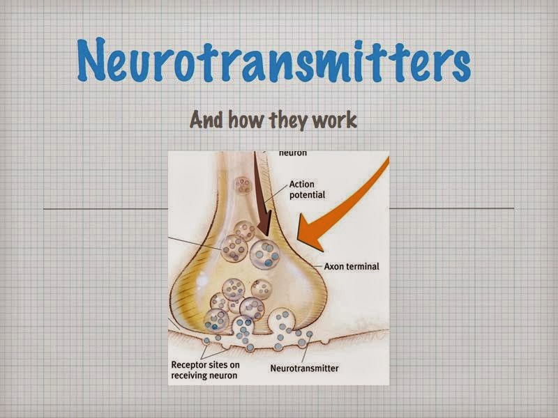Ms. Murphy's Psychology Class: How a Neuron Works
