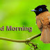 Good Morning Birds Quotes With Wishes Pictures
