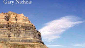 Sedimentology and Stratigraphy second edition