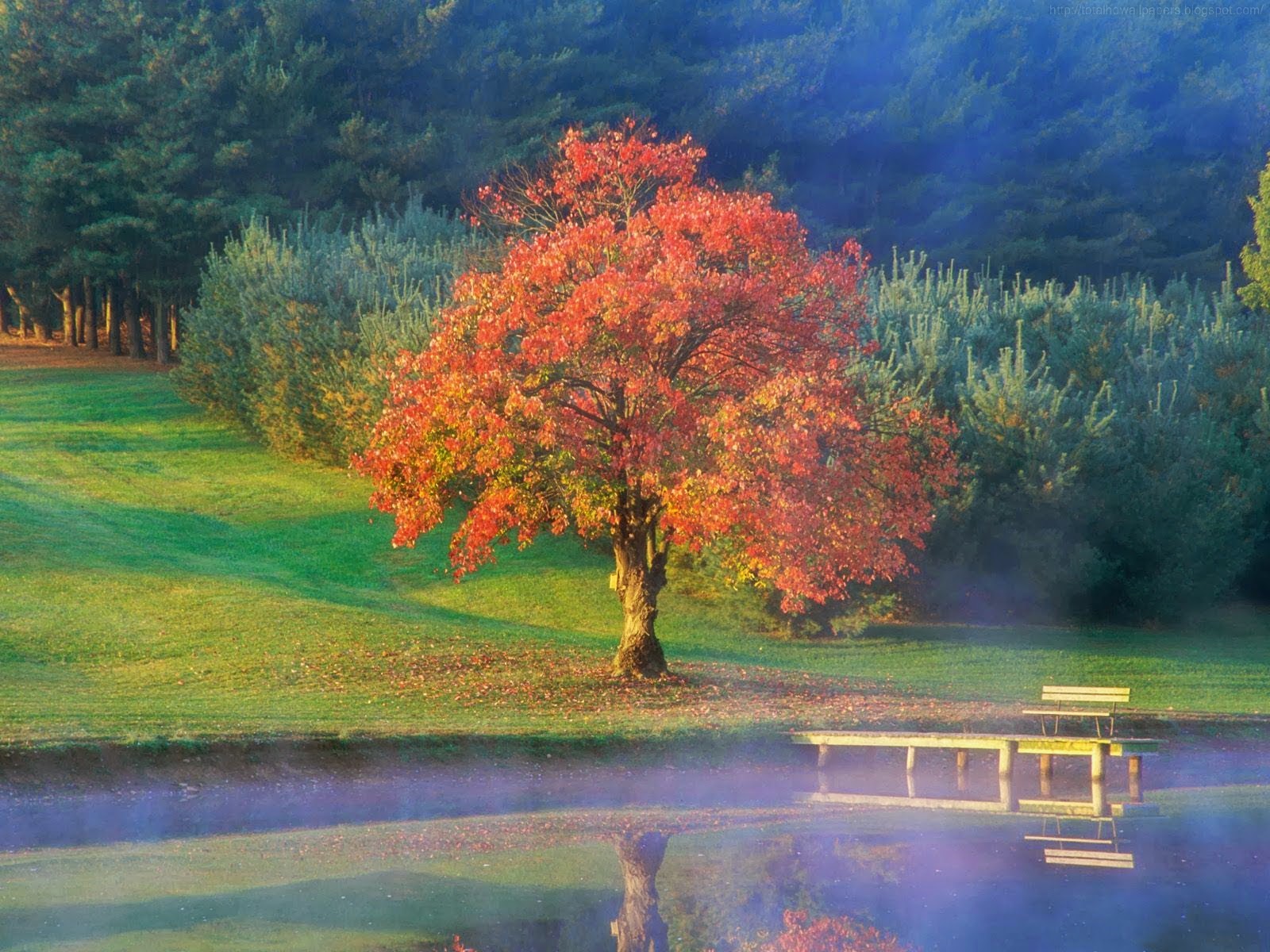 beautiful wallpapers for desktop poetry background wallpapers poetry images