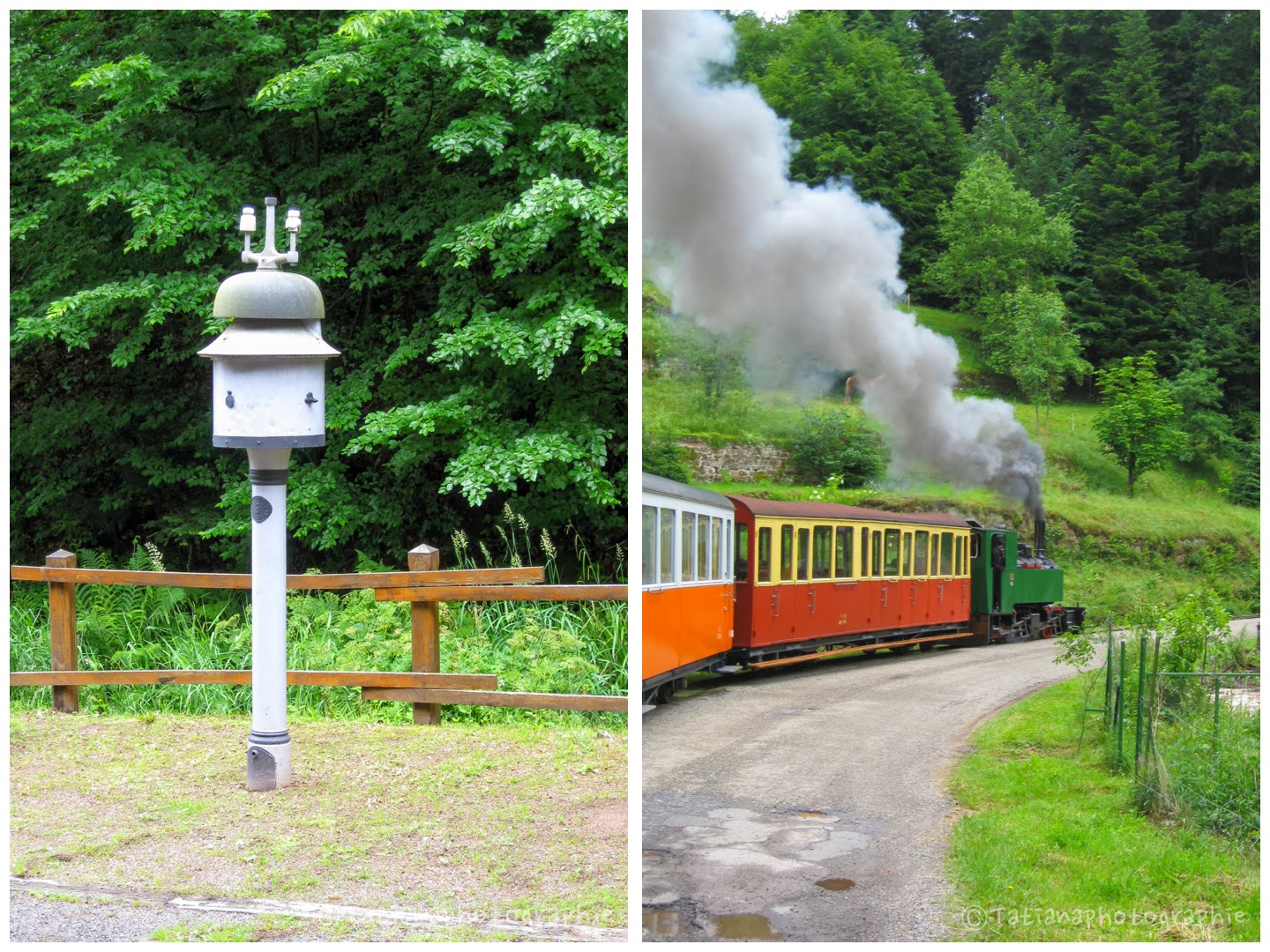 MES P'TITS BONHEURS LE PETIT TRAIN FORESTIER D'ABRESCHVILLER MES P'TITS BONHEURS LE PETIT TRAIN FORESTIER D'ABRESCHVILLER