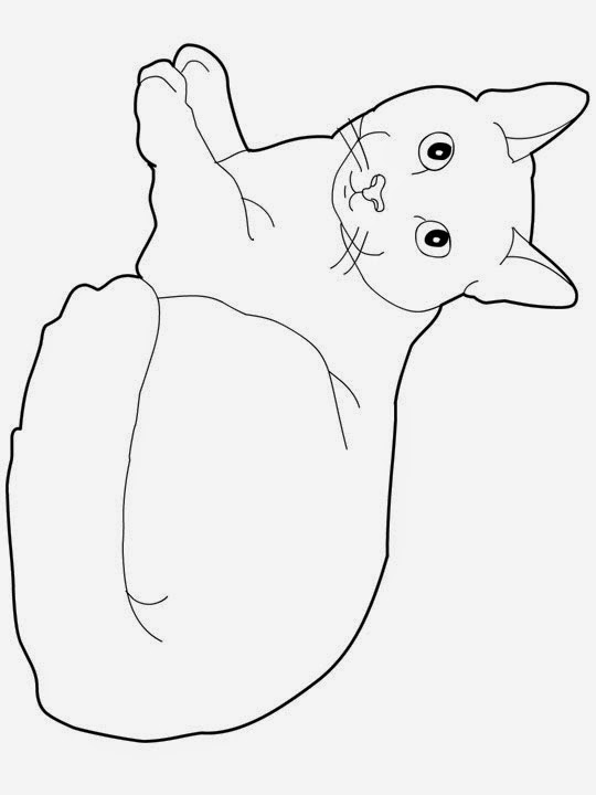 Coloring Pages: Cats and Kittens Coloring Pages Free and Printable