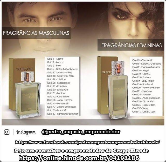 Linha TRADUÇÕES GOLD HINODE O Guia Absolutamente Completo Pedro Augusto Junior de Oliveira
