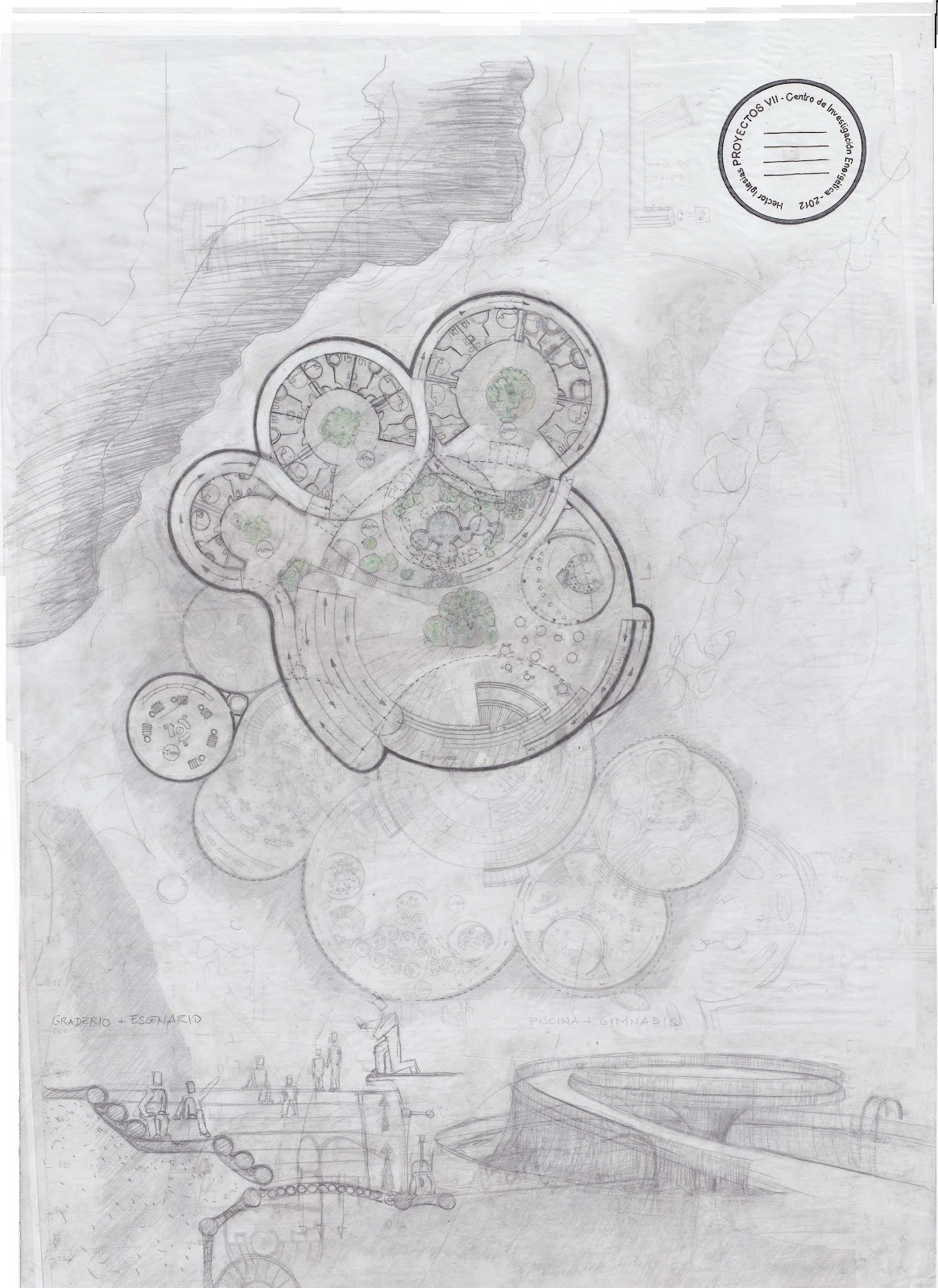 Proyectos 7