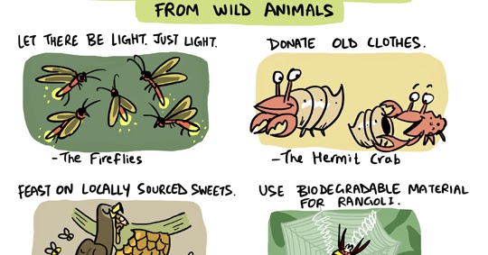 Green Humour: Eco-friendly Diwali Tips from Wild Animals