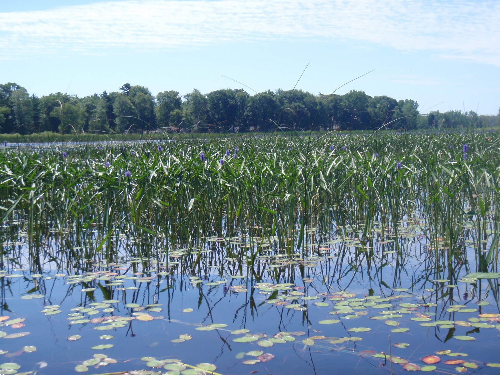 Live2KayakFish Tawas Lake, East Tawas Michigan
