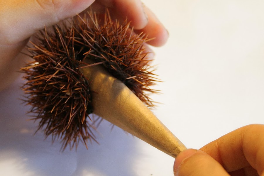 Manualidad: Erizo con cáscara de castaña10