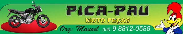 Resultado de imagem para pica pau moto peças japi rn