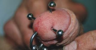 Piercing pene 351x185 - El piercing genital en los hombres -