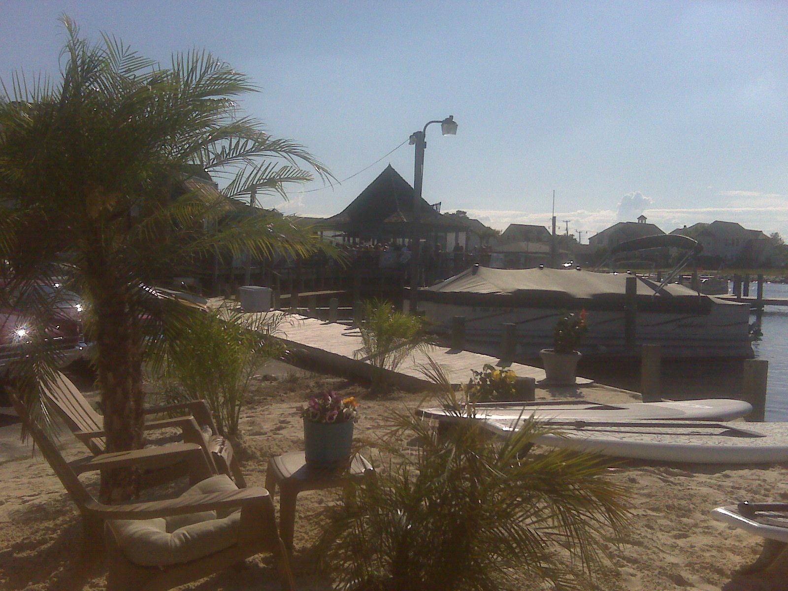 Live to Sail and SUP Ocean City Md and Bethany Beach De Stand Up