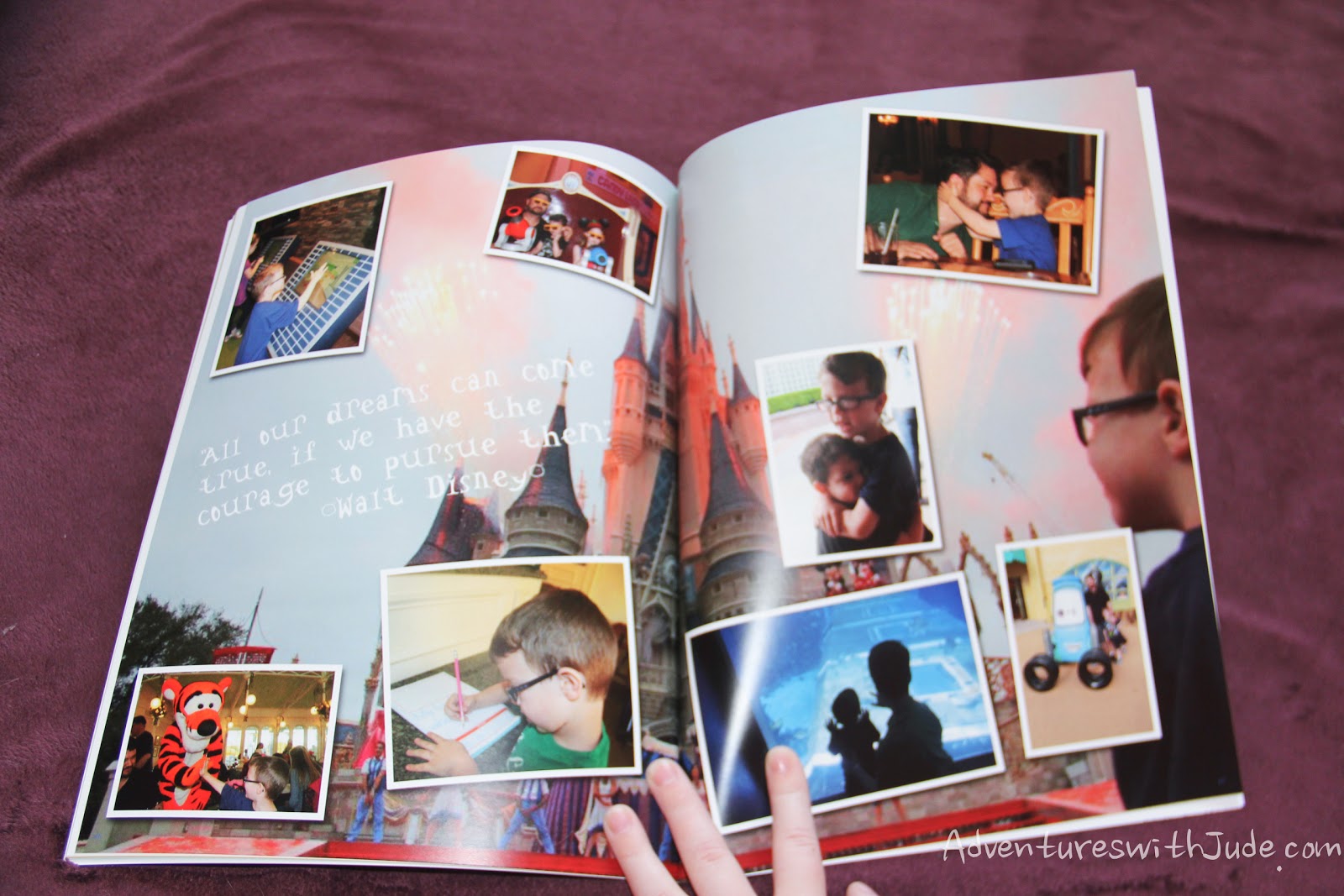 Picaboo Photo Book
