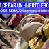 Como crear un huerto escolar desde cero.