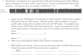basic genetics for university