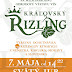 Kráľovský rizling (7.5.2016)