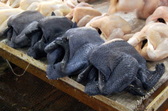 Το μαύρο κοτόπουλο που είναι λιχουδιά και πανάκριβο στην Ασία 