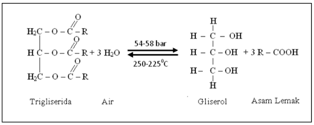Reaksi Pembentukan Gliserol