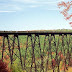 A Village whose Life is dependent on Railway Bridge