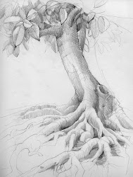 trees tree drawing drawings apple realistic pencil sketches rocky sketch mountain botanical plant draw easy society graphite mountains march corazon