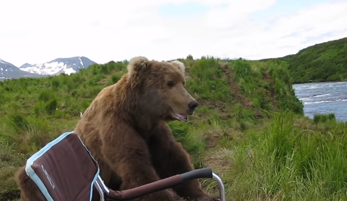 Drew is holding the camera and seems to be very relaxed. - A Brown Bear Sat Down Right Next To Him While He Filmed It All! Drew is holding the camera and seems to be very relaxed. - A Brown Bear Sat Down Right Next To Him While He Filmed It All!