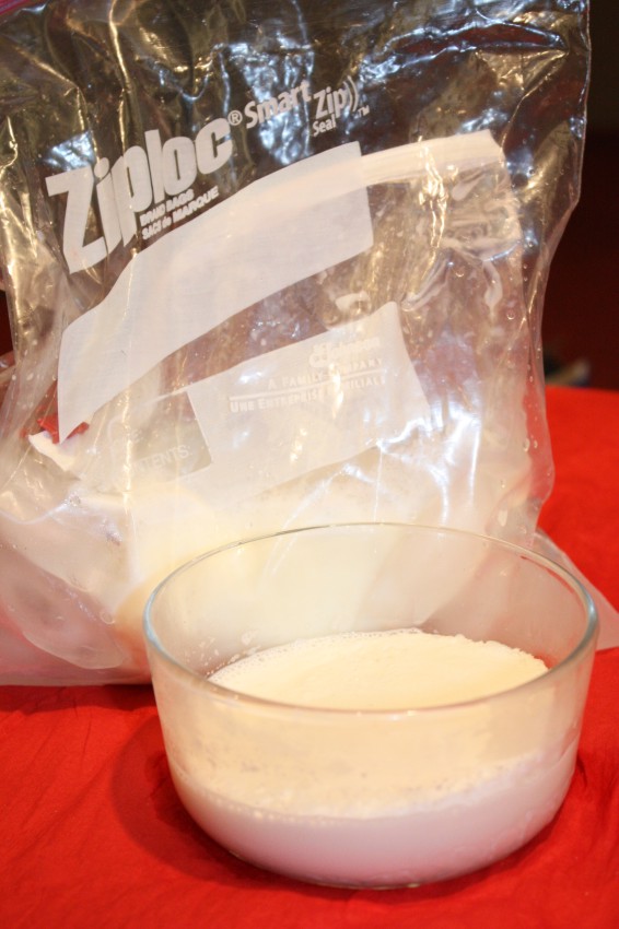 pass the peas, please vanilla ice cream in a bag