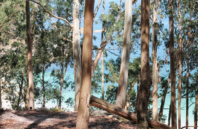 paisajes galicia pontevedra islas cies