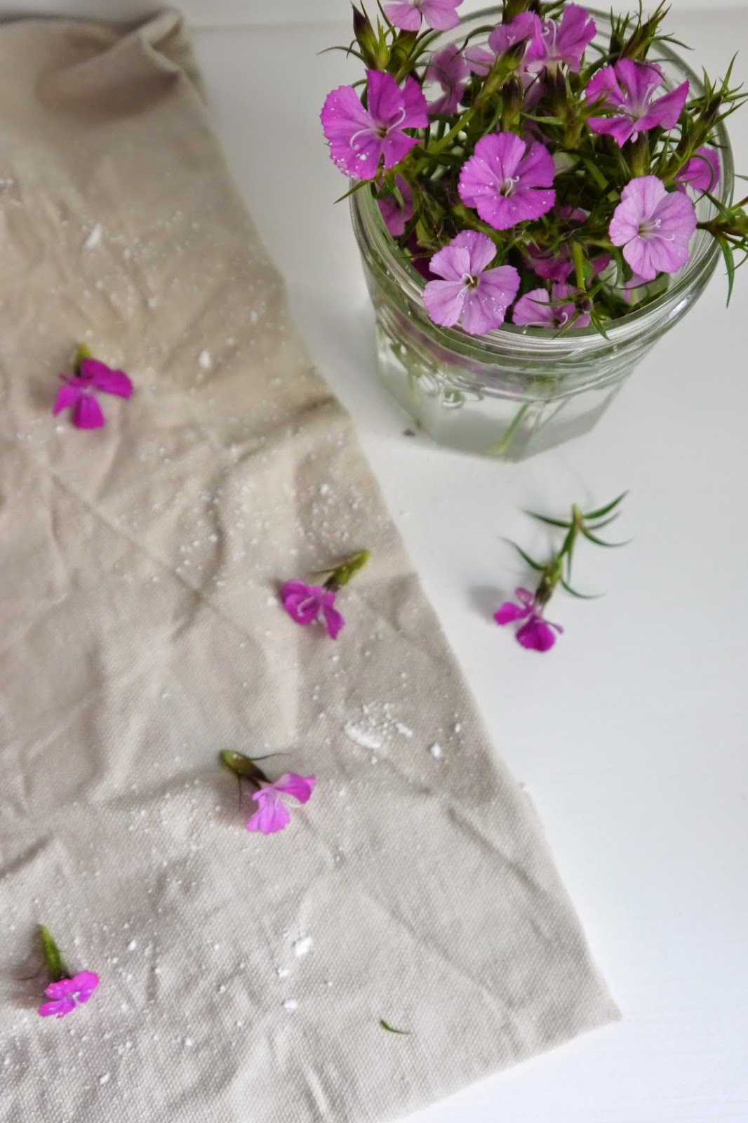 Käsekuchen mit einem Mandelmürbeteig | Sweet Bobos