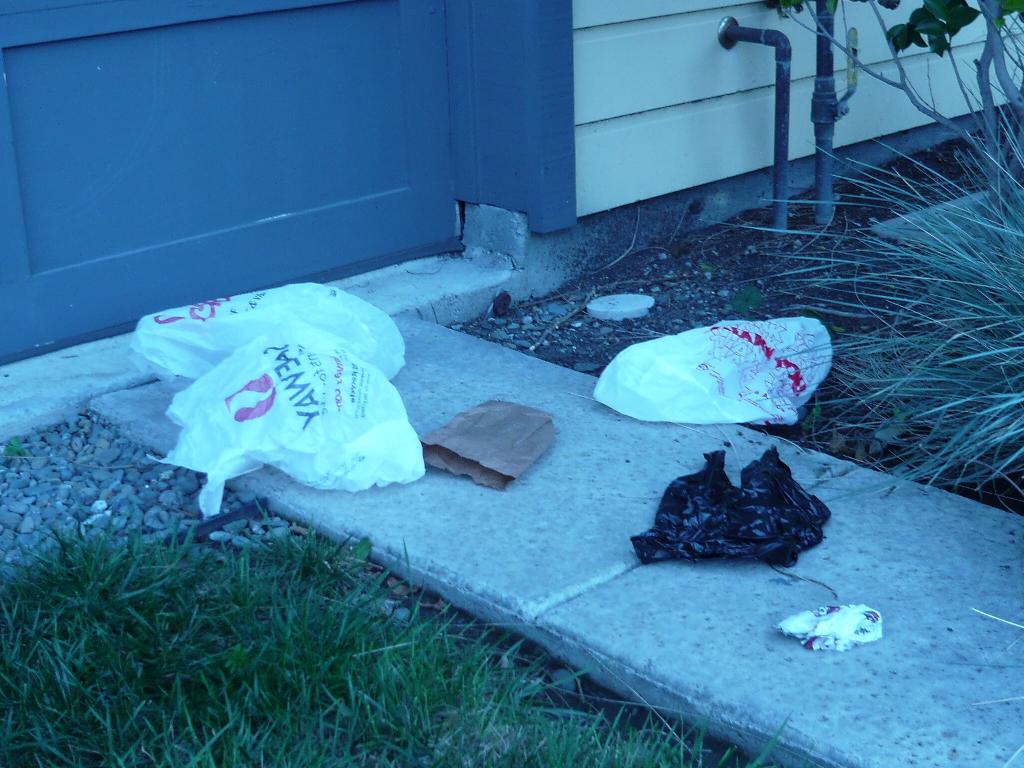 A Better Alliance More Trash Collected in Front of a