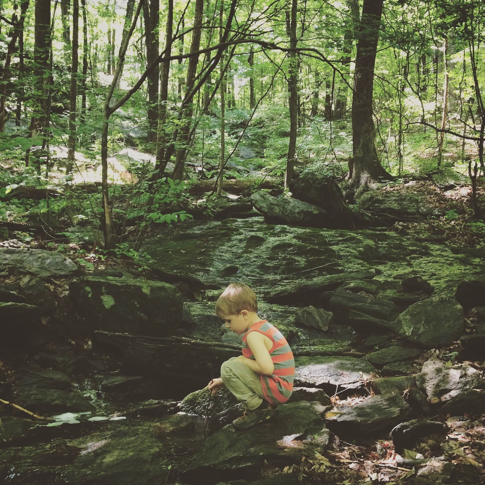 Cat Rocks FamilyFriendly Hike in Pawling A Little Beacon Blog