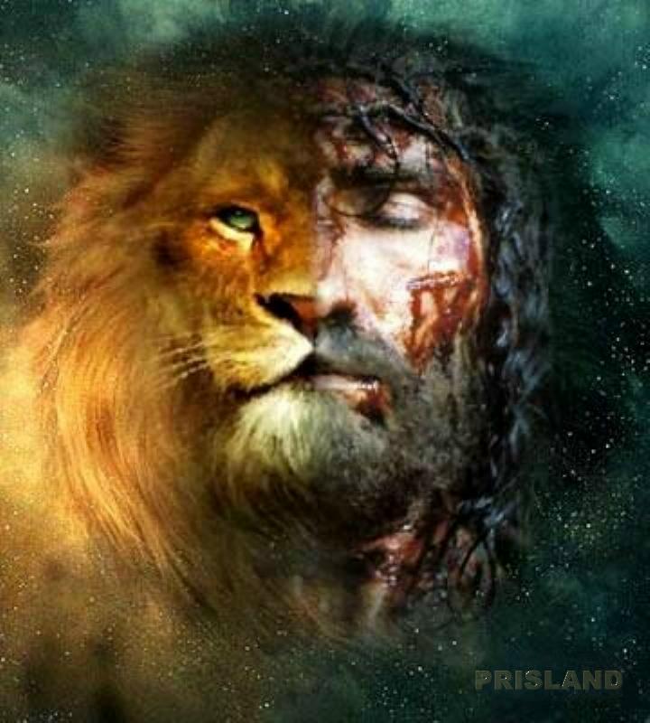 The Lion of Judah.